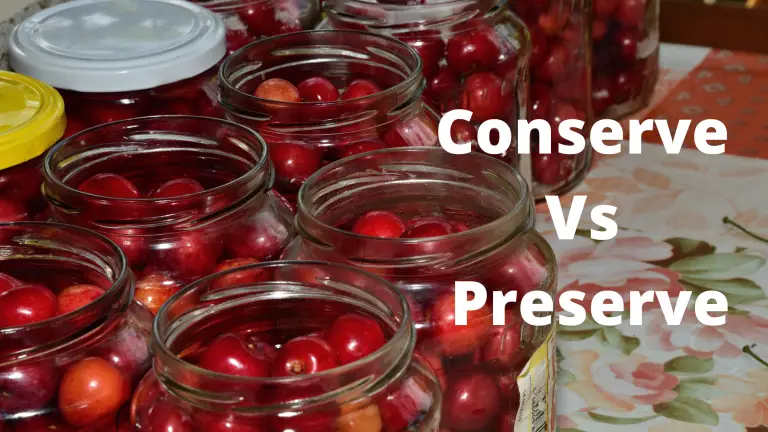 conserve-vs-preserve-what-is-the-difference-in-meaning-one-minute-english