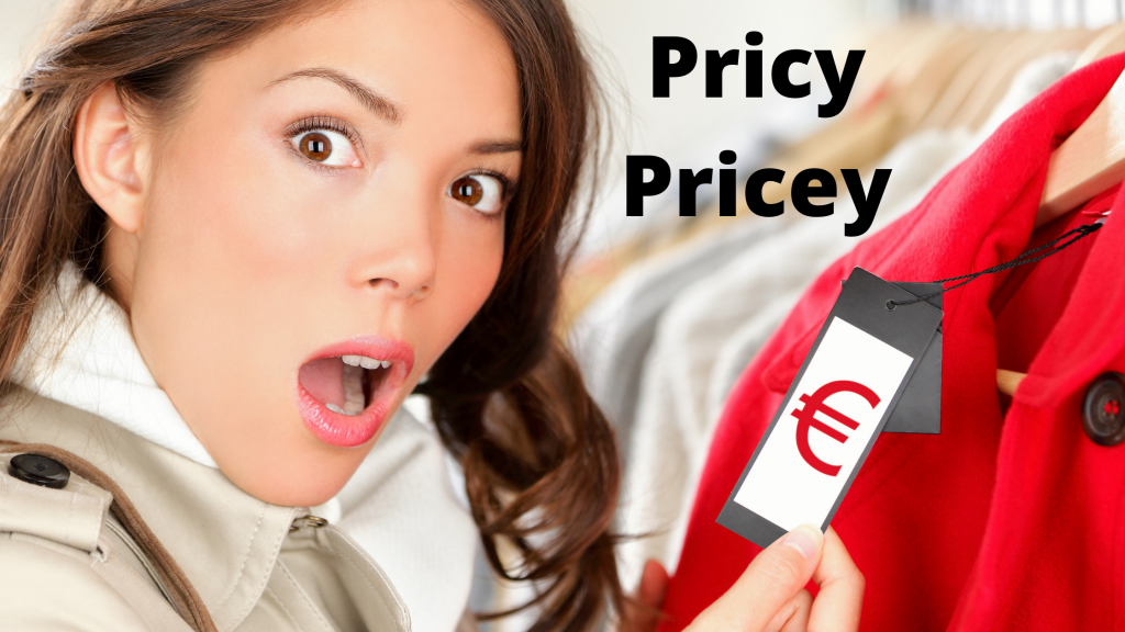 Pricey or Pricy? What Is the Correct Spelling?
